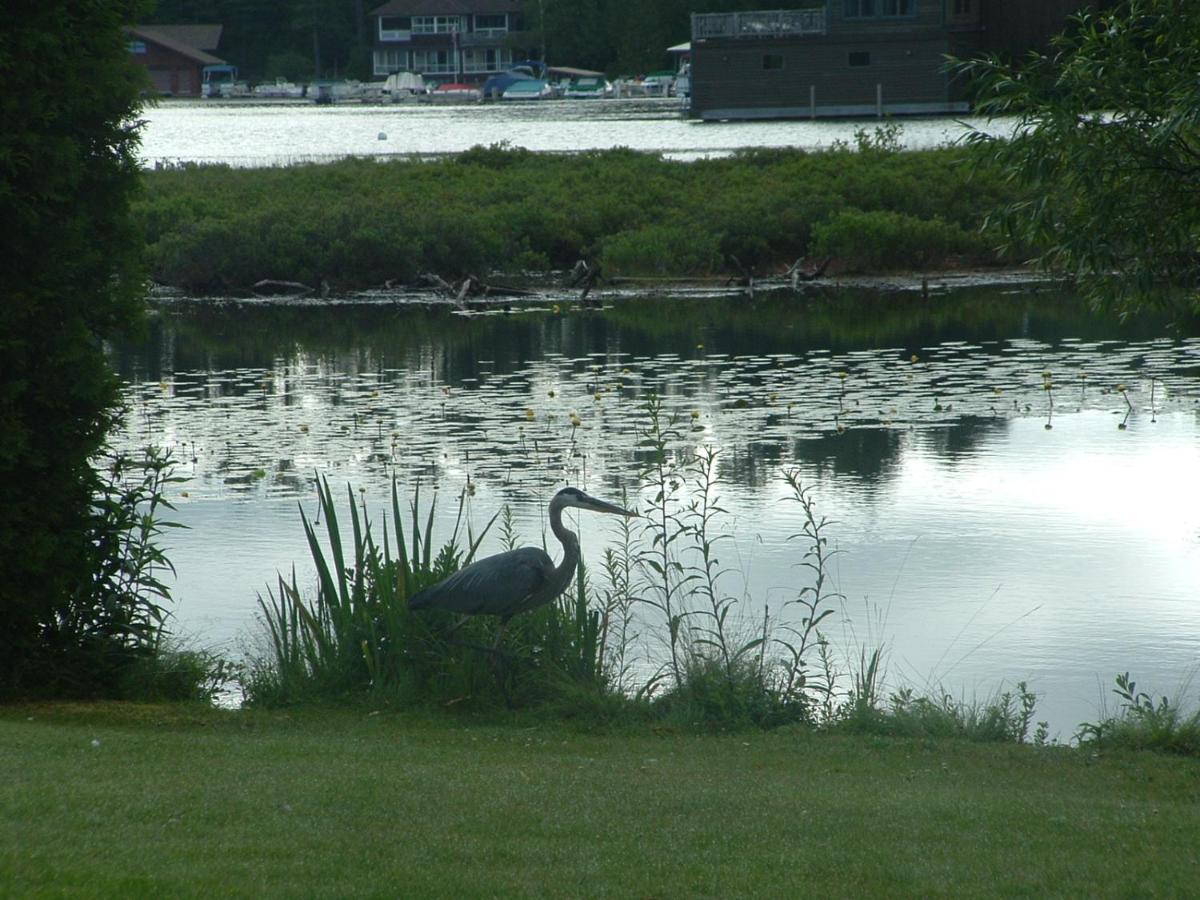 Wildwood On The Lake Lake Placid Exterior photo